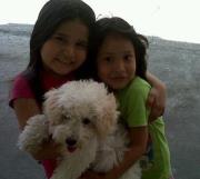 Paola  Cazares Perez