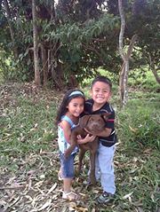 Ibeth  Enriquez Espinosa