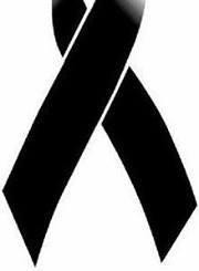 Luis Fernando  Sarango Cartuche