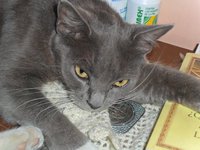 Carlos Alberto  Riera Ramirez