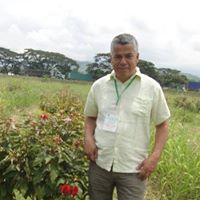 Humberto Antonio  Viloria Cotera