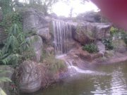 Deisy  Gonzalez Lopez