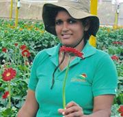 Ing Maireny  Inoa Rosario