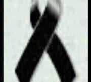 Girasol Espiritual Flor