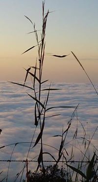 Verdad  Espectacular