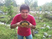 Honorio  Acosta Campos