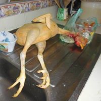 Wilson  Hernandez Vargas