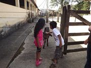 Barbara Audara  de Almeida