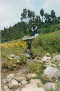 Catalina Milusca  Trujillo Sanchez