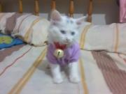 Romina Estefania  Lascano Moreno