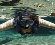 Marinês  Tonet Mino