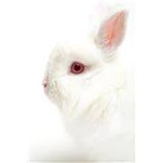 Verena  Salazar Torres