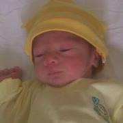 Mercedes Elizabeth  Cano González