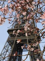 Ana  Barbosa Cerimonial