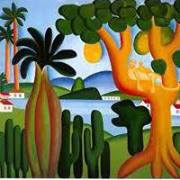 Miriam Cristina  Pereira