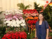 Doroteia Leindorf Bartz