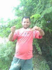 Reginaldo  Santana Dos Santos