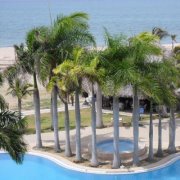 Maria Dolores  Coloma Cordova