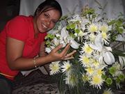 Karla Andrea  Santana Santos