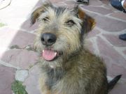 Sara  Alonso Hernandez