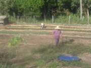 Sidinei  Lopes de Lima