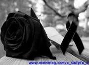 Milady  Vente Renteria