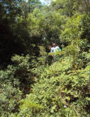 Ubiraci  Marques Barbosa