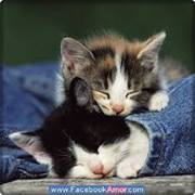 Fanny  Zumba Bonilla