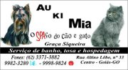 Graça  Siqueira