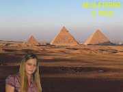 Aparecida  De Fátima Haddad Zani