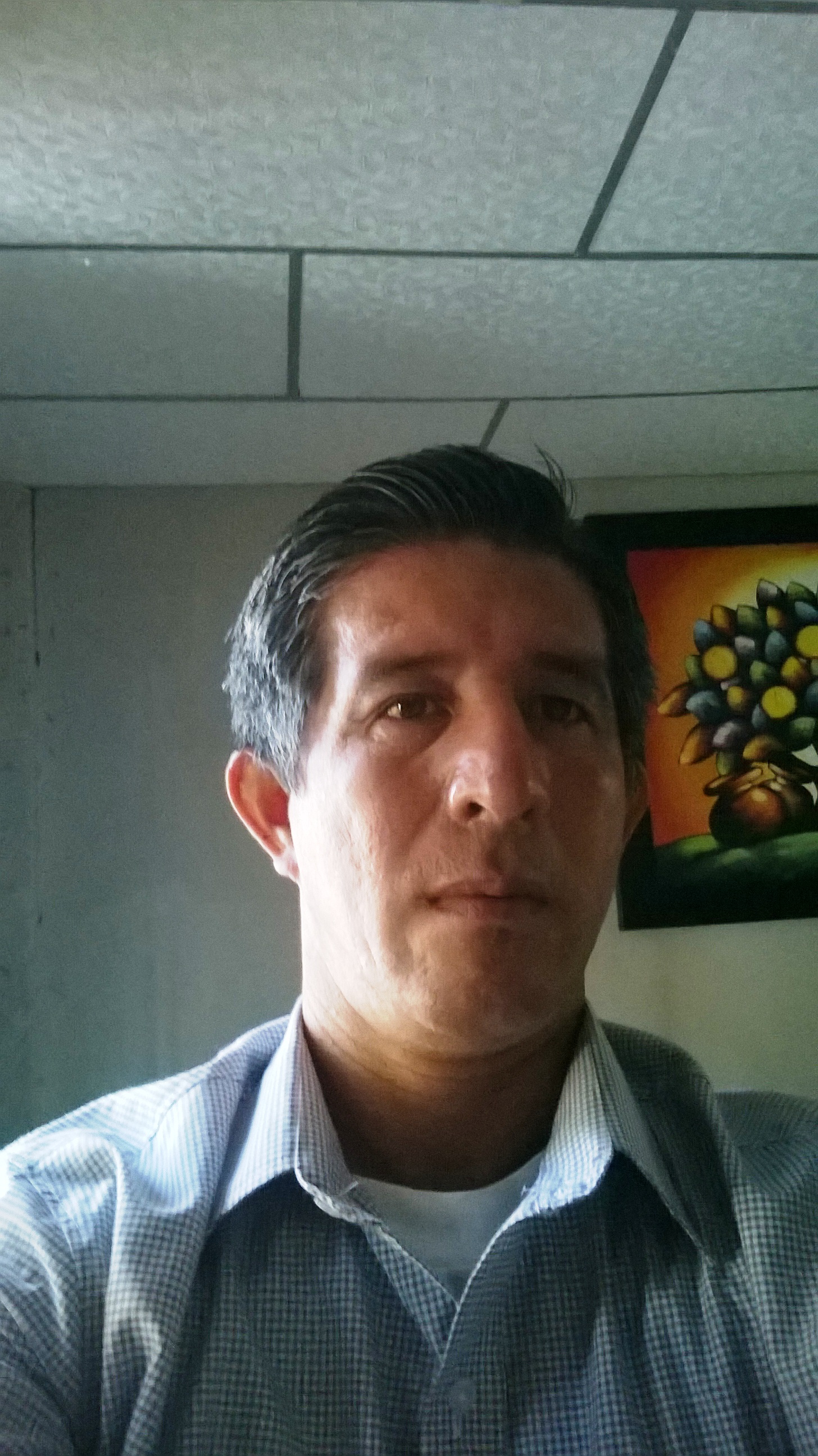Carlos N  Alarcon C