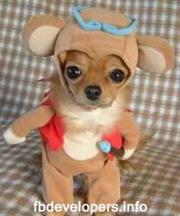 Delia  López Merino