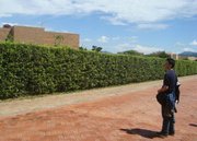 Oscar Javier Sanchez Alvarez