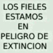 Janer Rafael  Vega Lopez