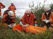 Jaidenson  Quiñones