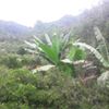 Willian  Aquino Machaca