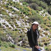 Teresa  Rosas Guerrero