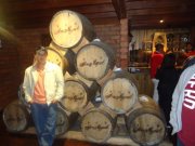 Alexis Josué Santos