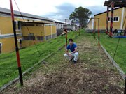 Rolando  Cruz Rosales