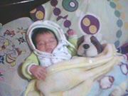 Tito Stalin  Jara Armijos