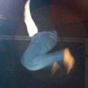 Edurne  Velez de Mendizabal