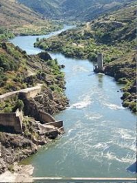 Susana  de la Fuente