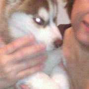 Myriam Elizabeth Orellana Caro