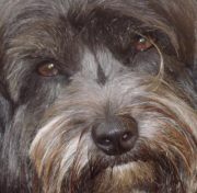 Carlos Roberto  Souto