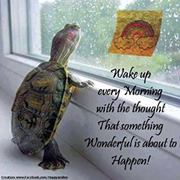 Sergio Guarani Kaiowá Severo