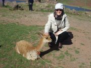 Heloise Helena  Pedroso