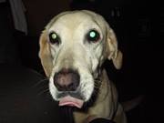 Cecilia  Llaque Chumpitassi