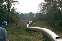 Cesar Augusto  Alomoto Hernandez