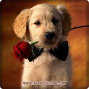 Esperanza  Torres Castro