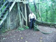 Napoleon  Rivera Ortega